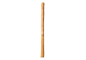 Medium Size Natural Finish Didgeridoo (TW1661)